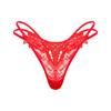 Tanga Europea y Americana Encaje Bordado Cintura Baja Floral Red de Pesca Transparente Malla Transparente Recorte Tirante Fino Ropa Interior de Exportación