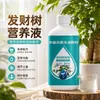 Solución nutritiva para árbol de la fortuna, fertilizante especializado para plantas de interior en maceta, revitaliza las plantas, previene el amarillamiento, la caída de hojas y la pudrición