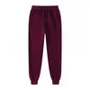 Calça Casual Esportiva Masculina para Exterior, Cor Sólida Solta Longa, Calça de Moletom Casual Tamanho Grande Forrada com Fleece Outono e Inverno, Masculina em Estoque Forrada com Fleece