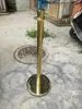 Poste Barrera de Cuerda Colgante de Alambre de Acero Inoxidable de 1.0 m, Barandilla, Línea de Advertencia, Barrera Retráctil de Aislamiento, Valla de Bienvenida, Poste de Bienvenida