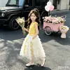 Conjunto de Vestido para Niñas Verano 2026 Nueva Moda Top Infantil Conjunto de Verano Elegante Falda de Malla para Niñas