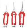 Tijeras de podar herramientas de jardinería tijeras para frutales tijeras para ramas de árboles tijeras para recoger fruta de jardín pimiento uva