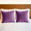 Venta al por mayor de fábrica de fundas de almohada de terciopelo holandés especial para casas de huéspedes y hoteles, fundas de cojín de felpa para sofá, personalización navideña transfronteriza
