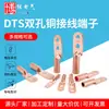 Fabricantes produzem conector de cobre de nariz de cobre de furo duplo DTS35 conector de cabo de 70 mm² orelha de fio de cobre nariz de fio de cobre
