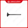 Peças de Motor Cummins Válvula de Escape 1125521110 1-8