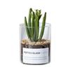 Jarrón Transparente de Vidrio de Alto Borosilicato Sencillo para Suculentas, Hidroponía, Maceta Paisajística de Tubo Recto, Botella de Jardinería para Cactus al por Mayor