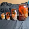 Âmbar Artesanato Antigo Âmbar Artificial com Insetos Escorpião Cigarras Caranguejo Lagartixa Inseto Especimen Stump Ornamentos