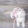 Fugui Satin Rouge Cuerda de Tracción para Mascotas Gato y Perro Universal Vestido de Princesa de Hadas Primavera Otoño Invierno Deslizante Gato y Perro Chaleco Pechera