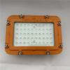 Dgs70/127L Reflector LED Antiexplosión para Minería Luz Antiexplosión para Pasillos Iluminación