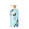 Perfume shampoo óleo controle fofo anti-caspa anti-coceira homens fragrância de longa duração 72 horas feminino produtos genuínos terno ouxinlan