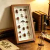 Marco de fotos hueco 3D, 3 cm de profundidad, imitación madera, tira larga, para plantas, insectos, especímenes de mariposas, caja de exhibición para montaje propio de ciencia DIY