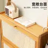 Gabinete de Zapatos Ultradelgado para Entrada, Almacenamiento Integrado y Diseño de Ganchos, Gabinete Vertical con Puertas abatibles, Zapatero de Piso para Pasillo del Hogar, ¡Wow!