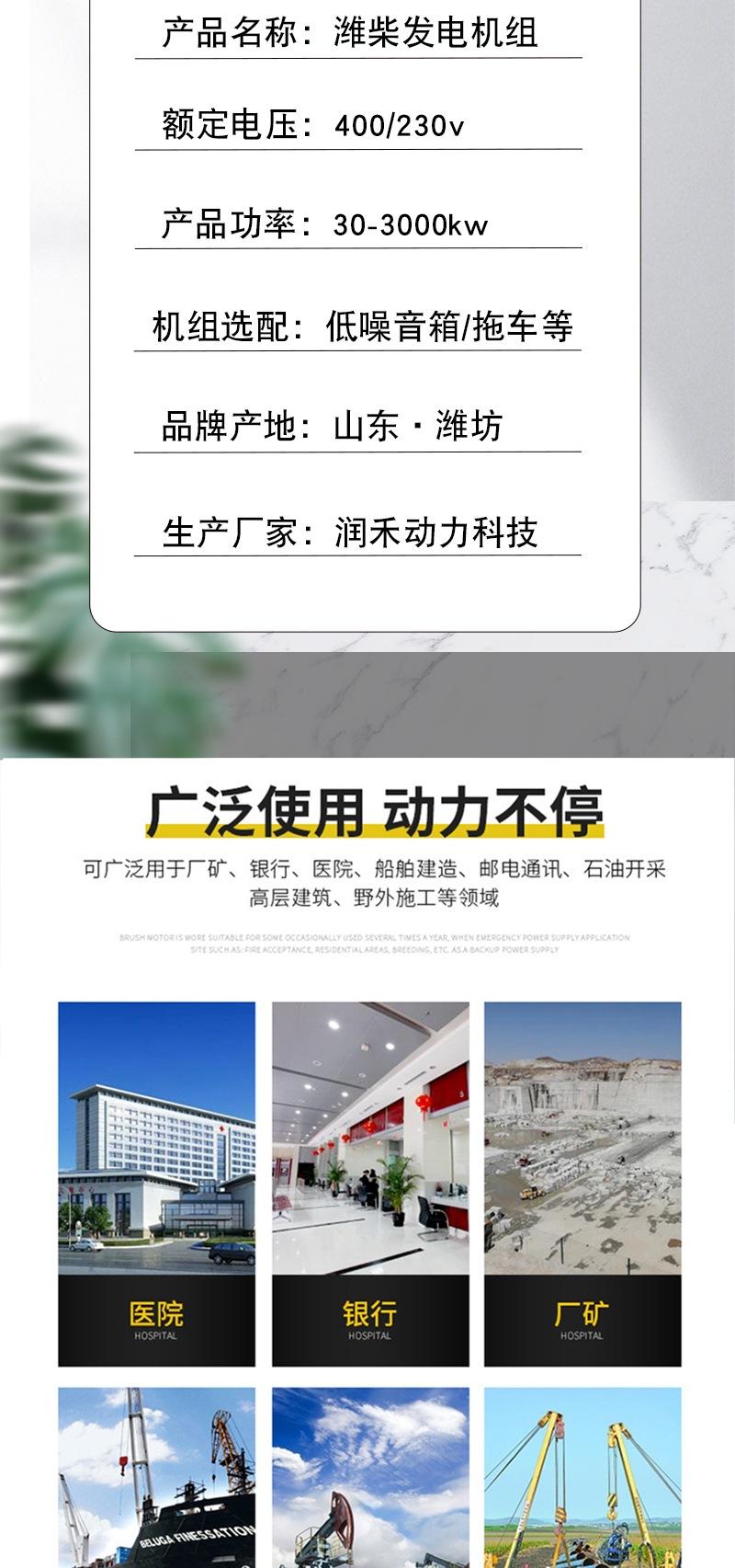 潍柴发电机组详情_005.jpg