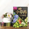 Livro Colorido Ilustrado de Fitoterapia Chinesa Recém-Compilado Manual Super Prático Genuíno para Identificação de Ervas Medicinais Chinesas Livro Ilustrado de Ervas Medicinais Chinesas