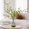 Vaso de Madeira Bêbada hidropônico Sino Salgueiro da Neve ramo cortado fresco planta arranjo de flores hidropônico decoração vaso de vidro