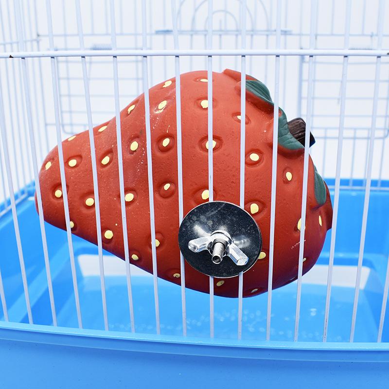 草莓窝15.jpg?x-oss-process=image/format,png