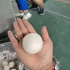 Máquina Divisora e Boleadora de Massa, Máquina Yuanxiao, Máquina de Amassar e Bolear Bolas de Gergelim, Fabricante de Máquina Comercial para Formar e Bolear Massa de Bolas de Taro e Mooncake