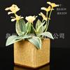 Venda quente da Amazon flores de gelo quadrado vaso de flor de copo cor fresca pequena vaso de flor de cerâmica com flor de gelo rachada
