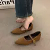 Zapatos de tacón alto de punta con estampado de leopardo para mujer, nuevo estilo 2026 con tacón de cuña para combinar con faldas, zapatos de noche, zapatos Mary Jane para el trabajo para mujer