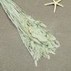 Flor mágica hierba de la pequeña esperanza eterna ramo flor real Natural Alto sentido ins estilo nórdico sala de estar decoración jarrón Flor eterna