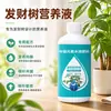 Solución nutritiva para árbol de la fortuna, fertilizante especializado para plantas de interior en maceta, revitaliza las plantas, previene el amarillamiento, la caída de hojas y la pudrición