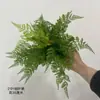 Plantas Verdes Artificiales Estilo Nórdico, Helechos de Goma Suave, Hojas Persas, Hojas de Caparazón de Tortuga, Proyecto de Pared de Plantas de Caparazón de Tortuga, Material de Hoja con Textura Realista