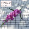 Nova Orquídea Espada Artificial Transfronteiriça com 9 Cabeças de Flor para Exibição na Sala de Estar, Flores Artificiais Bonitas Estilo Europeu, Venda Quente Dropshipping da Temu