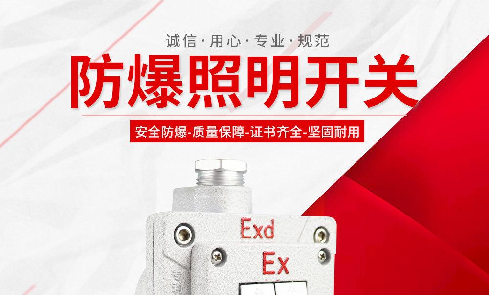 防爆照明开关详情页_02.jpg