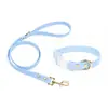 Set de Collar y Correa para Gato y Perro de Color Sólido de PVC, Set de Dos Piezas Impermeable y Resistente a la Suciedad para Mascotas, Personalizable desde la Fábrica de Origen