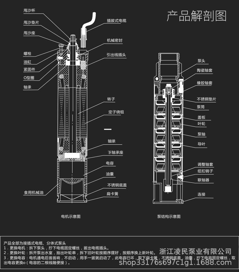 8解剖图.jpg