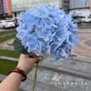 Hortênsia Grande Simulada 3D em Haste Única com Toque Realista e Efeito Hidratante, 176 Peças, Arte Floral para Hotel, Decoração de Casamento, Flor Artificial
