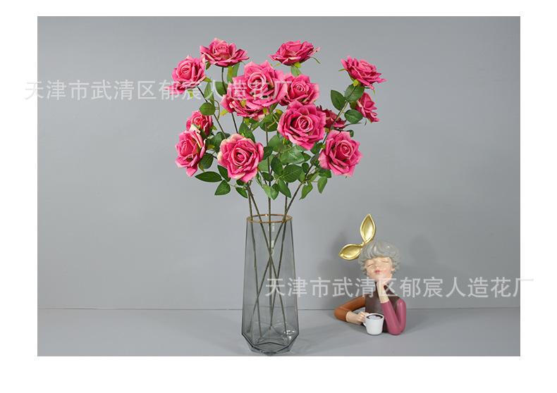 详情_13.png