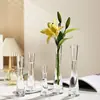 Jarrón de cristal de alto valor para interior, de caña alta, con una sola flor, jarrón de cristal especial para una sola flor, adorno de jarrón de cristal transparente