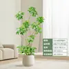 Forma Pie de Pato Madera Sala de Estar Maceta Grande Planta Verde Interior Sala de Estar Grande de Pie Flor Real Pila Vieja Pie de Pato Madera