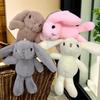 Libro Rojo Pequeño Transfronterizo Explosiones Versión Coreana de Muñeco de Peluche de Conejo de Orejas Largas Colgante para Bolsos Redes Rojas Muñeco Máquina de Muñecos Venta al por Mayor