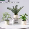 Plantas Verdes Artificiales, Flores Falsas, Flores Artificiales, Plantas Pequeñas de Escritorio en Maceta, Adornos Decorativos, Estanterías, Plantas Verdes Artificiales, Accesorios de Fotografía