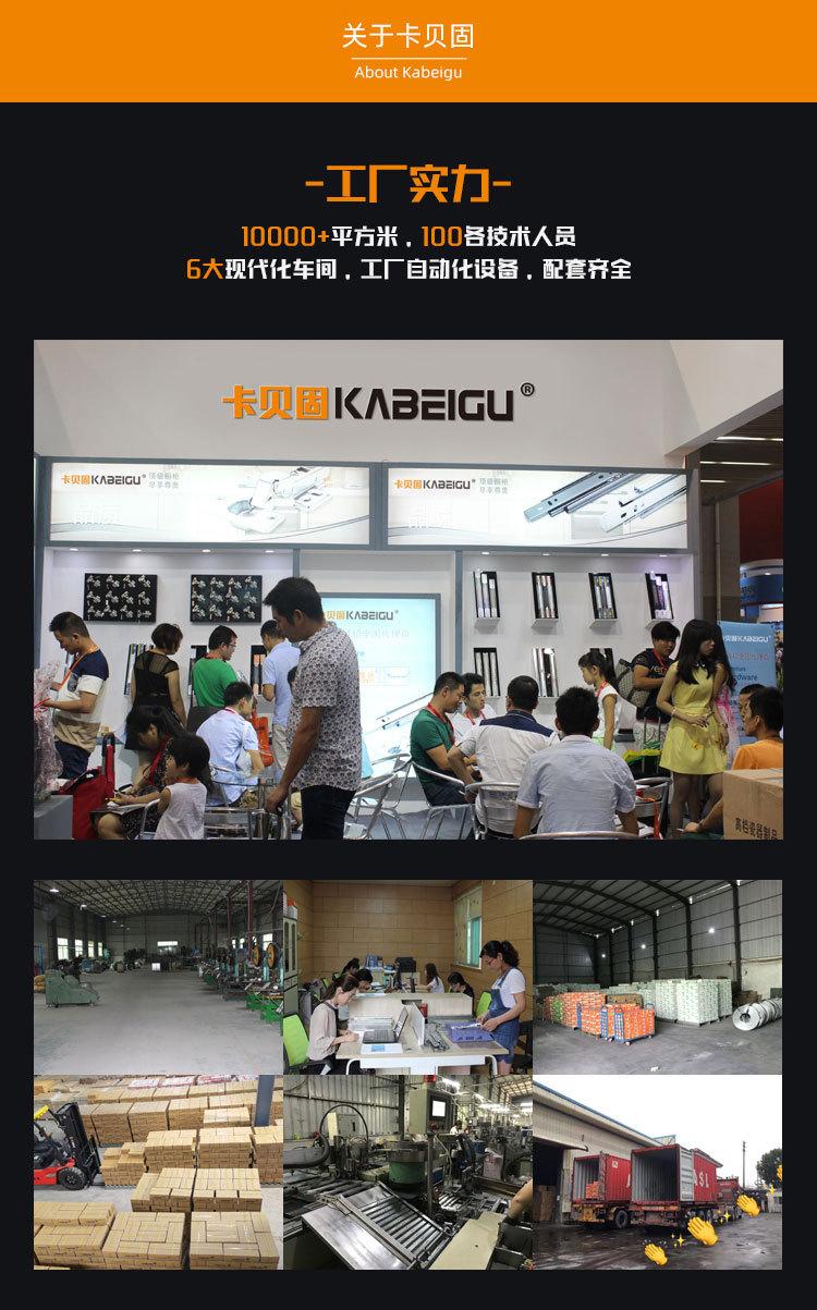 青蛙铰链-卡贝固_17