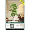 Planta en Maceta de Piso Nandina Domestica, Planta Verde Artificial Grande para Interiores, Decoración de Lujo Ligero para Sala de Estar, Árbol Artificial