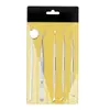 Herramientas de Limpieza Dental de Acero Inoxidable juego Herramientas de Cuidado Bucal Sonda Limpiadora Dental de Seis Piezas Espejo Dental