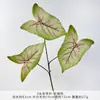 Rama de Planta Verde Falsa Simulación de Hoja de Taro de Colores de 3 Cabezas Arreglo Floral Paisajismo Decoración de Arreglo de Fondo para Celebración de Bodas Venta al por Mayor