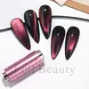 Beleza Total Transfronteiriça Nova Manicure Ímã Olho de Gato com Vários Esmaltes Olho de Gato Diferentes Ímãs Multifuncionais
