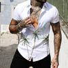 Camisa de surf para hombre Playa Europa y Estados Unidos comercio exterior Impresión geométrica digital 3D Hawaiana manga corta muscular
