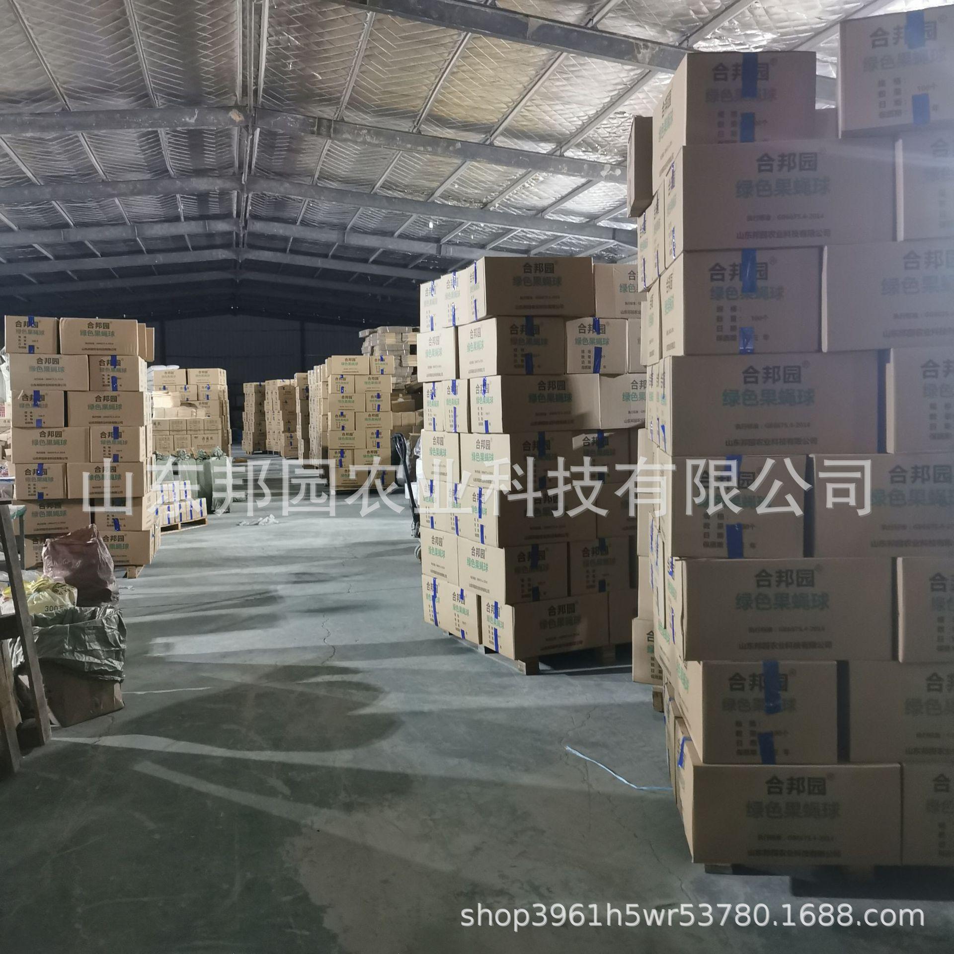 果蝇球5.jpg