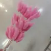 Ramo de cola de conejo y hierba seca de Yunnan, venta al por mayor, material de embalaje para ramo de cola de conejo y hierba seca.