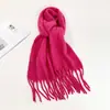 Bufanda de Color Sólido para Mujer Invierno Nuevo Bufanda de Imitación Cachemir Europea y Americana Bufanda Cálida Multicolor Transfronteriza Chal Largo Venta al por Mayor