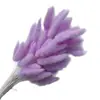 Rabo de Conejo Seco Flor Seca Ramo Flor Real Flor Inmortal Hierba de Cola de Perro Decoración del Hogar Materia Prima Fábrica Disparo Accesorios