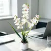 27 orquídeas Phalaenopsis artificiales en un arreglo de bonsái falso para decoración de restaurantes y hoteles, plantas en maceta de flores artificiales creativas para decoración de escritorio de oficina, adornos de flores artificiales