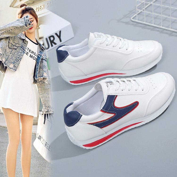 2024022121376600244602w800h800