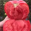 Tomates grandes frescos con pulpa arenosa, fruta madura naturalmente, caquis rosados, paquete de 1/2.5 kg, tomates crudos de la Provenza de Shandong para comer