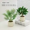 Plantas Verdes, Vasos Pequenos, Árvore da Fortuna Semelhante para Mesas de Escritório Internas, Mesas de Centro de Sala de Estar, Flores Artificiais e Arranjos Florais